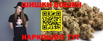 скорость Гатчина