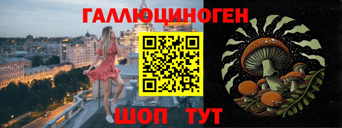 Галлюциногенные грибы GOLDEN TEACHER Истра